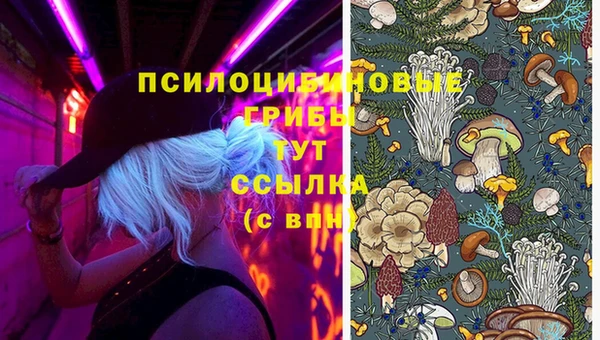 герыч Михайловск